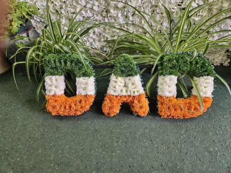 Irish Flag DAD Tribute